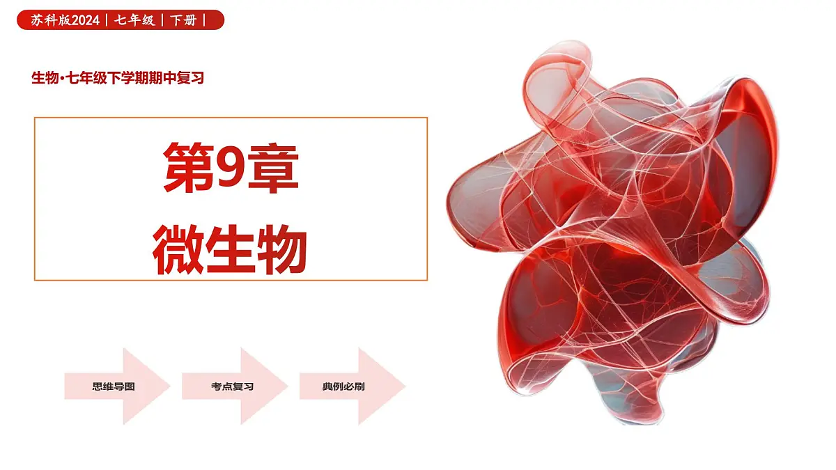 第9章 微生物（复习课件 2025学年七年级生物下学期期中考点大串讲（苏科版2024）第1页