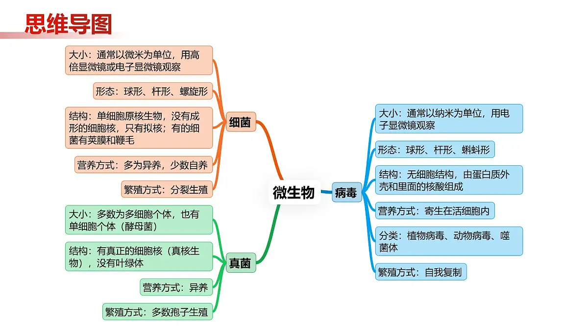 第9章 微生物（复习课件 2025学年七年级生物下学期期中考点大串讲（苏科版2024）第2页