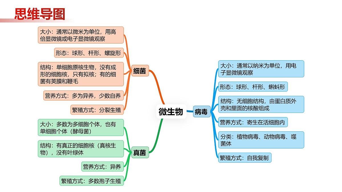 第9章 微生物（复习课件 2025学年七年级生物下学期期中考点大串讲（苏科版2024）第2页