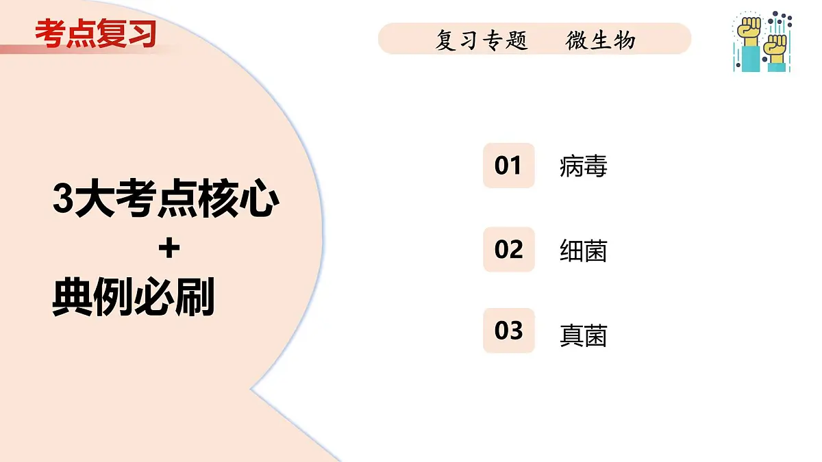 第9章 微生物（复习课件 2025学年七年级生物下学期期中考点大串讲（苏科版2024）第3页