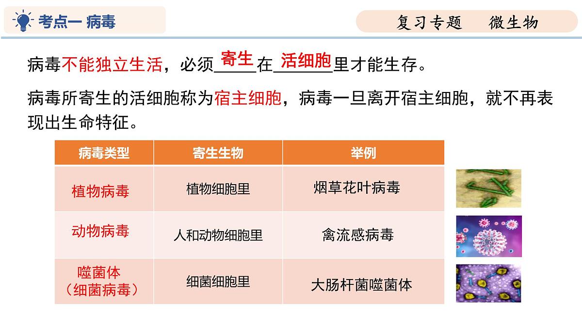 第9章 微生物（复习课件 2025学年七年级生物下学期期中考点大串讲（苏科版2024）第6页