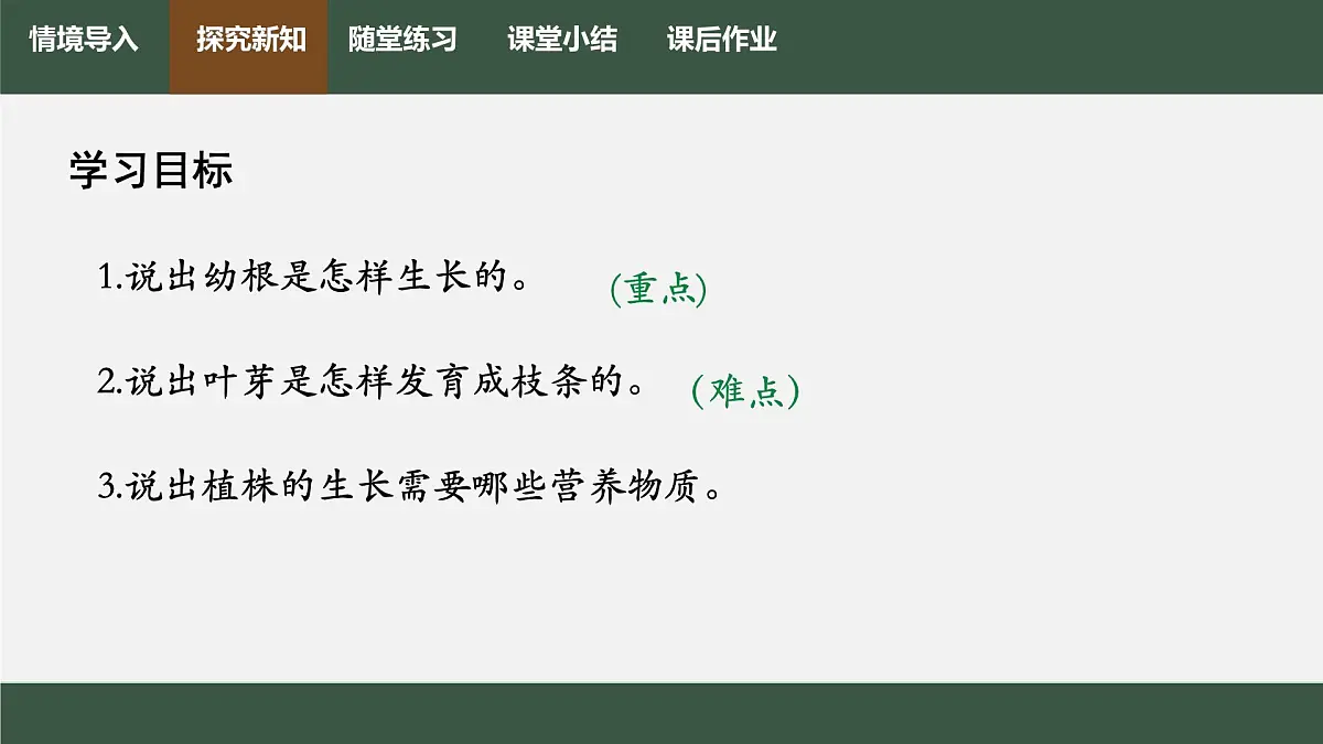 初中生物人教版（2024）七年级下册3.1.2 植株的生长 课件第2页