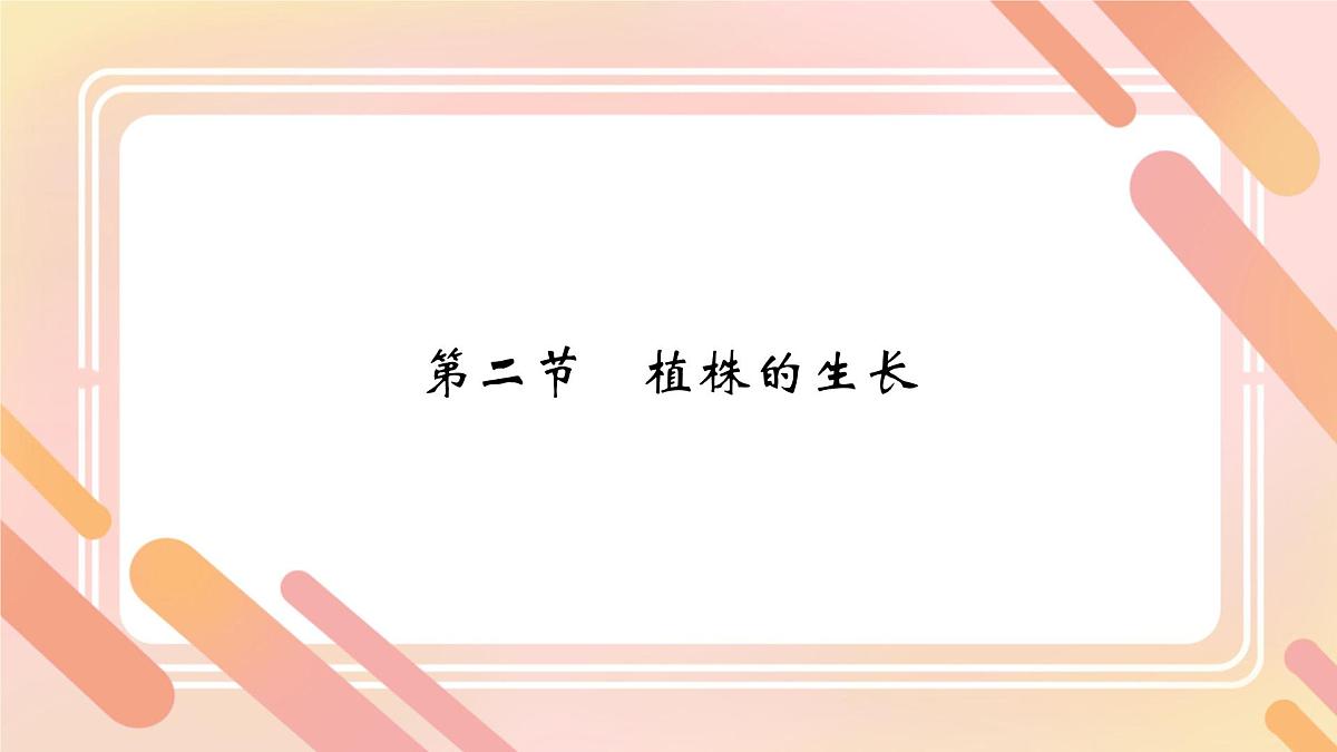 初中生物人教版（2024）七年级下册3.1.2 植株的生长 课件第1页