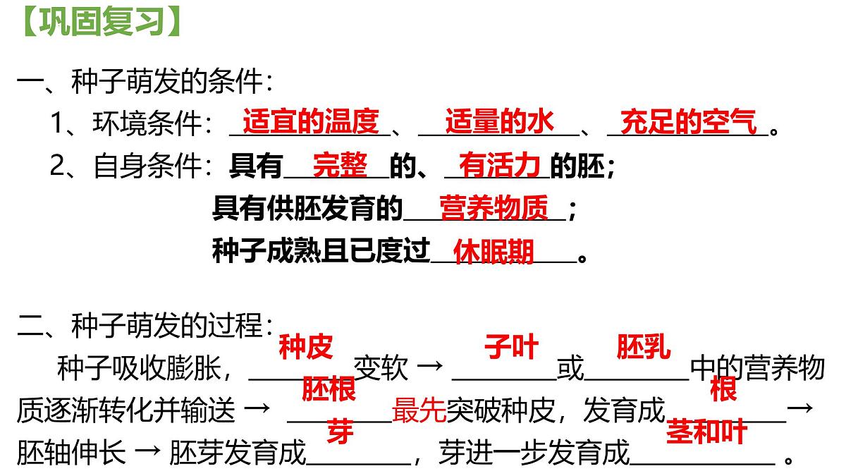 初中生物人教版（2024）七年级下册3.1.2 植株的生长 课件第1页