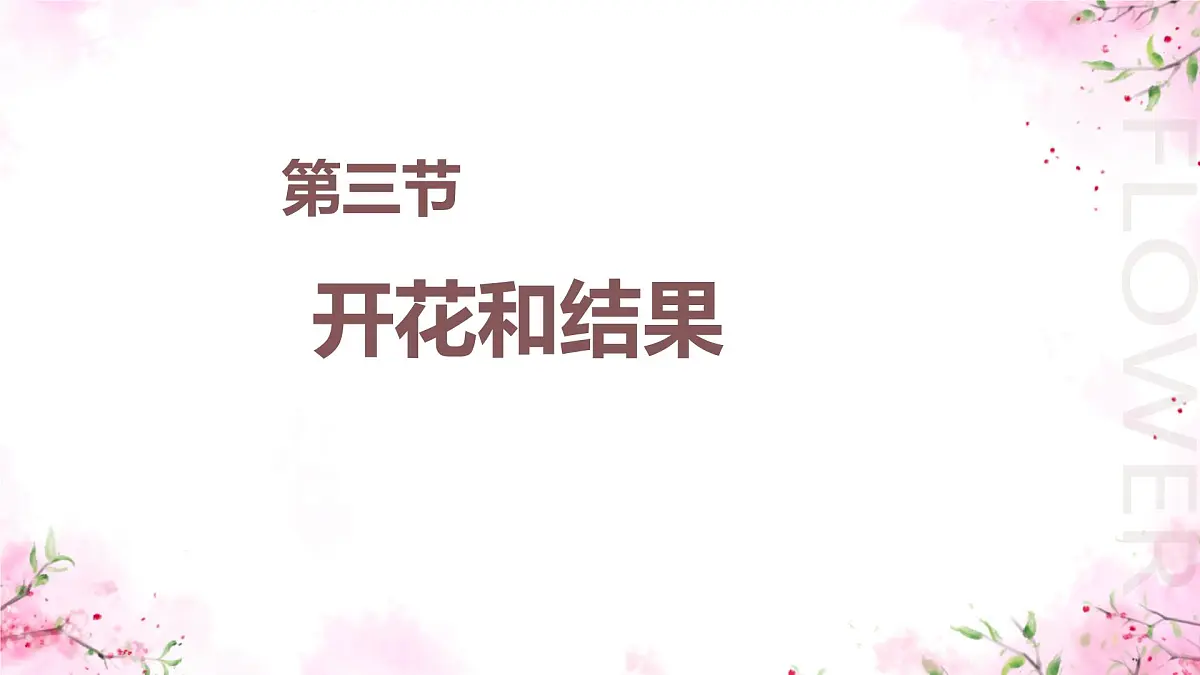 初中生物人教版（2024）七年级下册3.1.3 开花和结果 课件第1页
