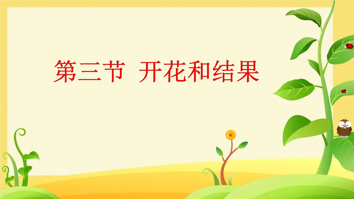 初中生物人教版（2024）七年级下册3.1.3 开花和结果 课件第1页