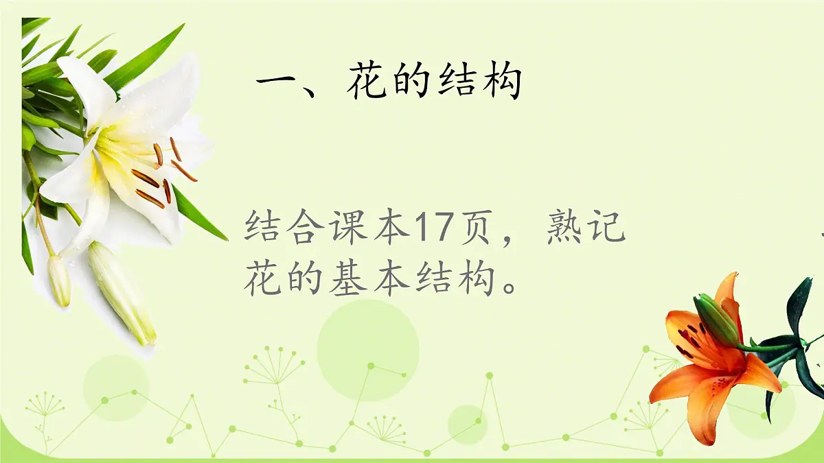 初中生物人教版（2024）七年级下册3.1.3 开花和结果 课件第4页