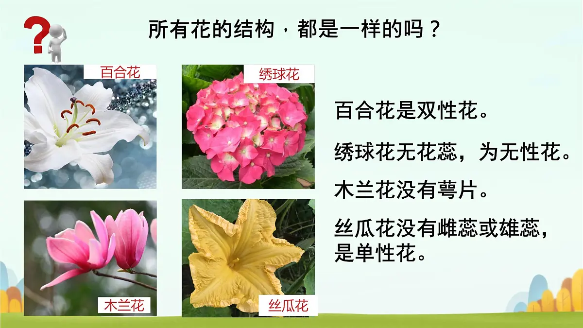 初中生物人教版（2024）七年级下册3.1.3 开花和结果 课件第8页