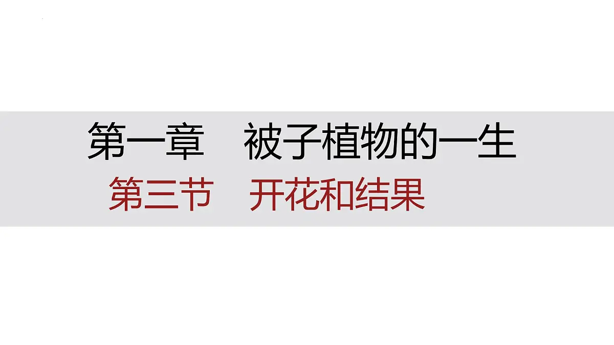 初中生物人教版（2024）七年级下册3.1.3 开花和结果 课件第1页