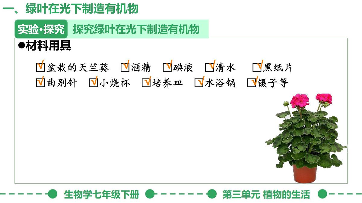 初中生物人教版（2024）七年级下册3.2.2 光合作用 课件第4页