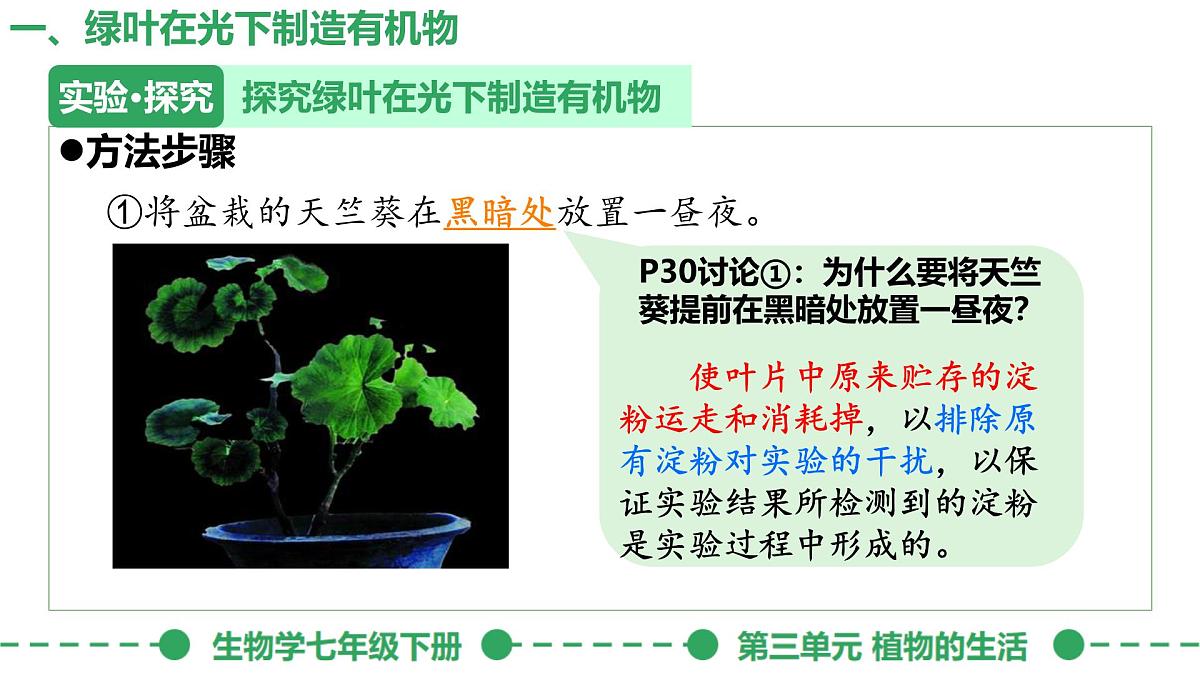 初中生物人教版（2024）七年级下册3.2.2 光合作用 课件第5页