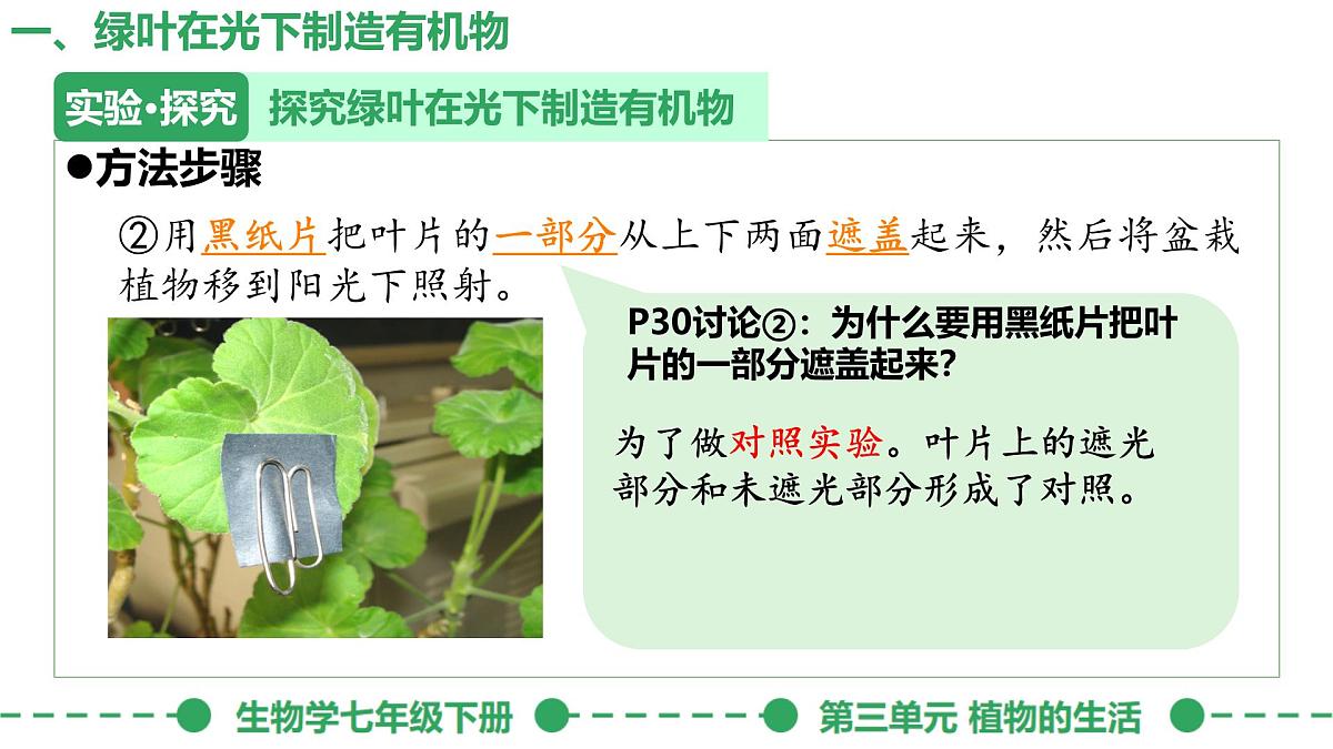初中生物人教版（2024）七年级下册3.2.2 光合作用 课件第6页