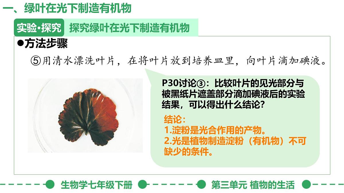 初中生物人教版（2024）七年级下册3.2.2 光合作用 课件第8页