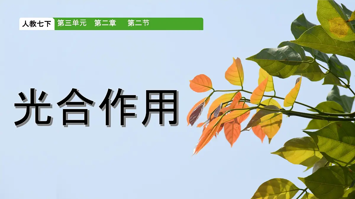 初中生物人教版（2024）七年级下册3.2.2 光合作用 课件第1页