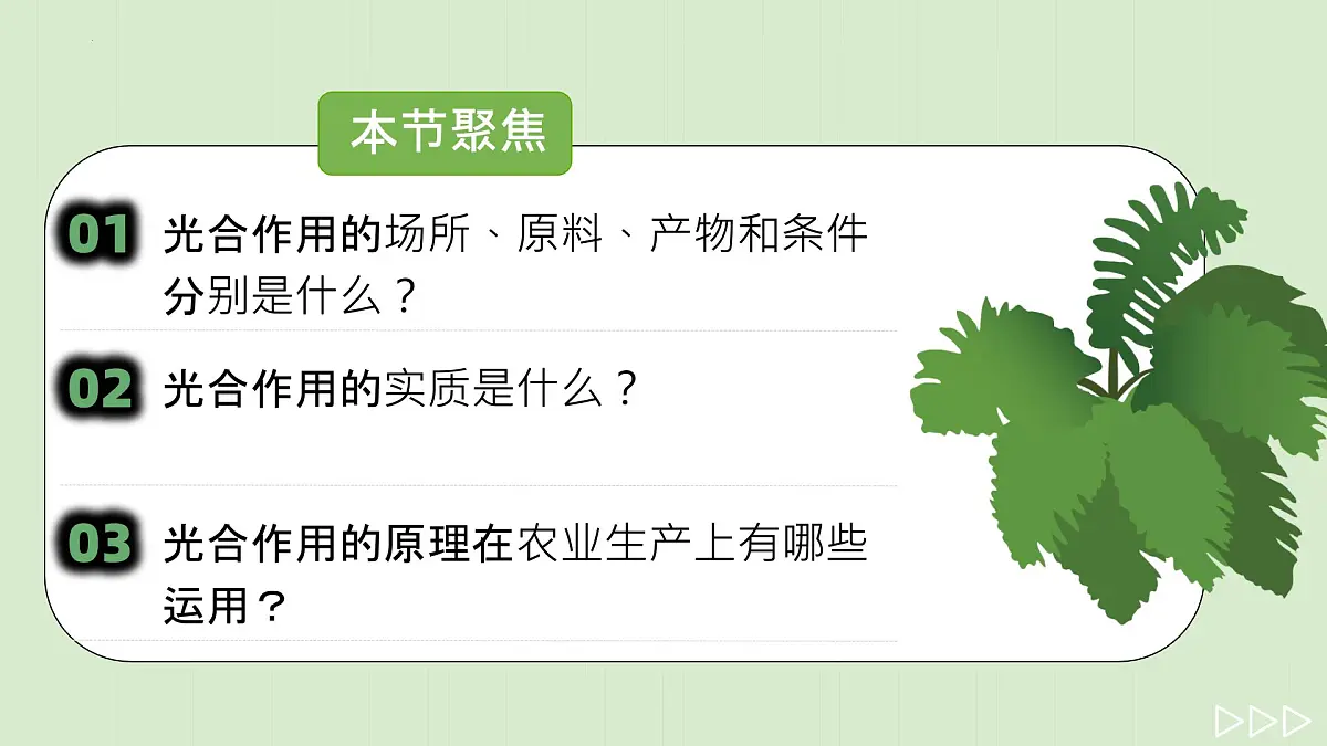 初中生物人教版（2024）七年级下册3.2.2 光合作用 课件第2页