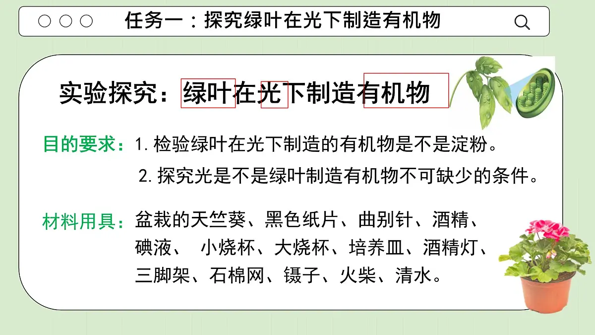 初中生物人教版（2024）七年级下册3.2.2 光合作用 课件第4页