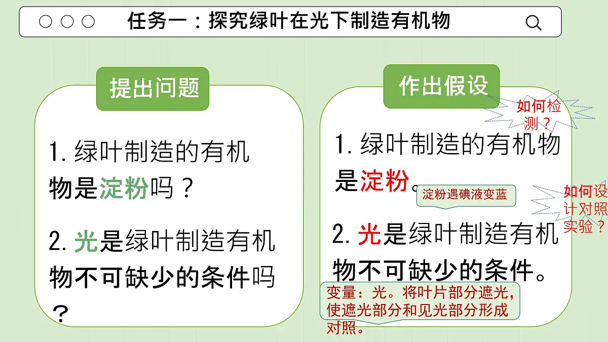 初中生物人教版（2024）七年级下册3.2.2 光合作用 课件第5页