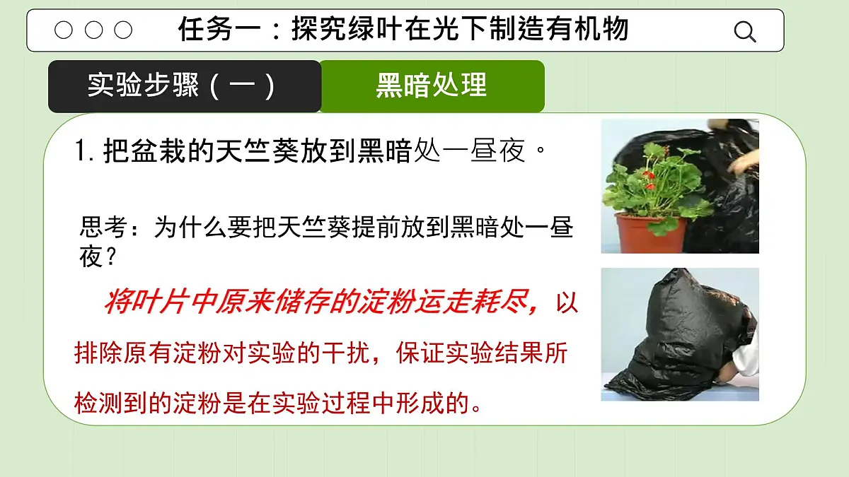 初中生物人教版（2024）七年级下册3.2.2 光合作用 课件第7页