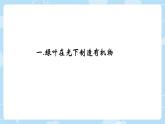 初中生物人教版（2024）七年级下册3.2.2 光合作用 课件