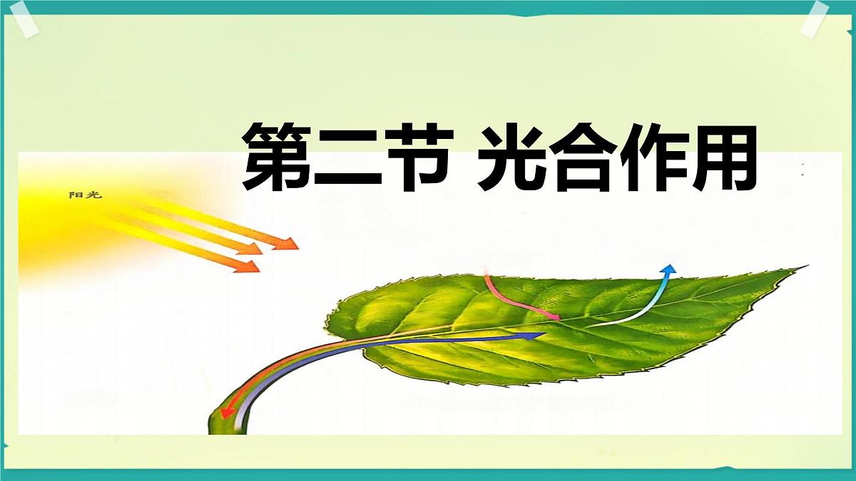 初中生物人教版（2024）七年级下册3.2.2 光合作用 课件第1页