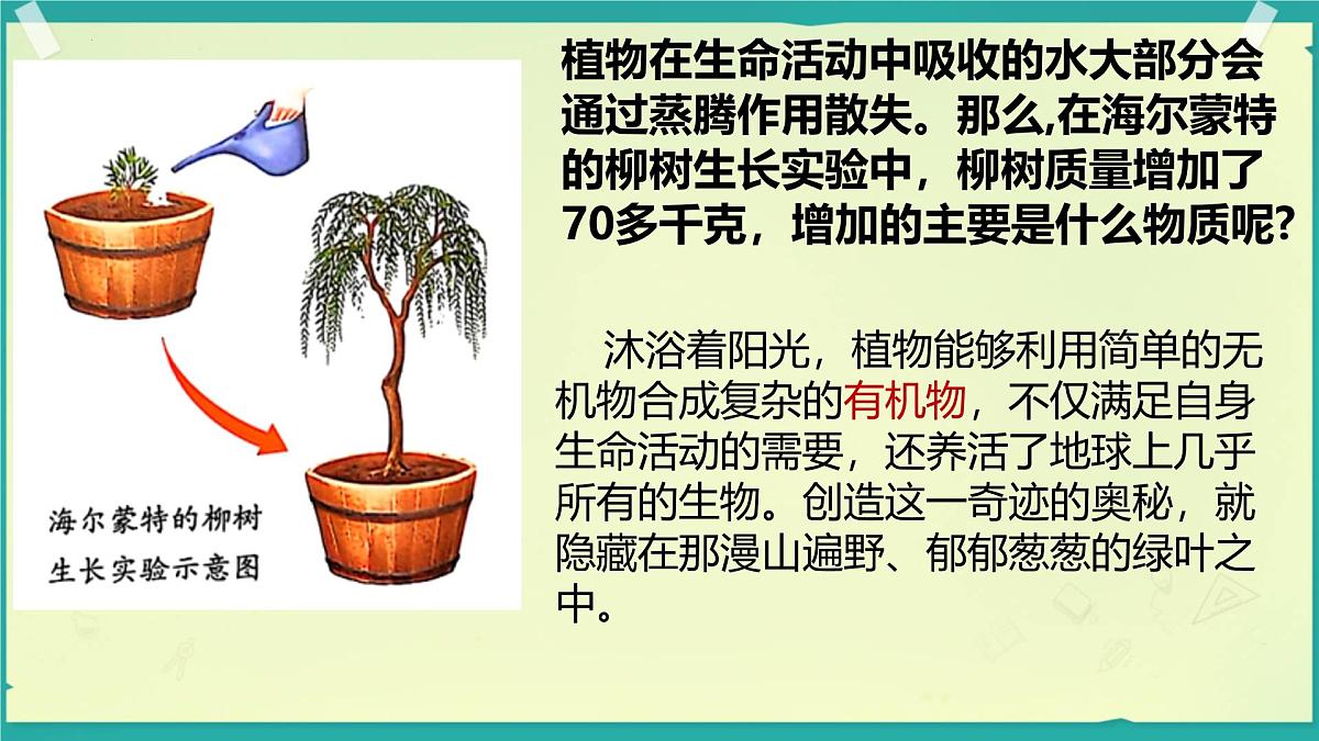 初中生物人教版（2024）七年级下册3.2.2 光合作用 课件第2页