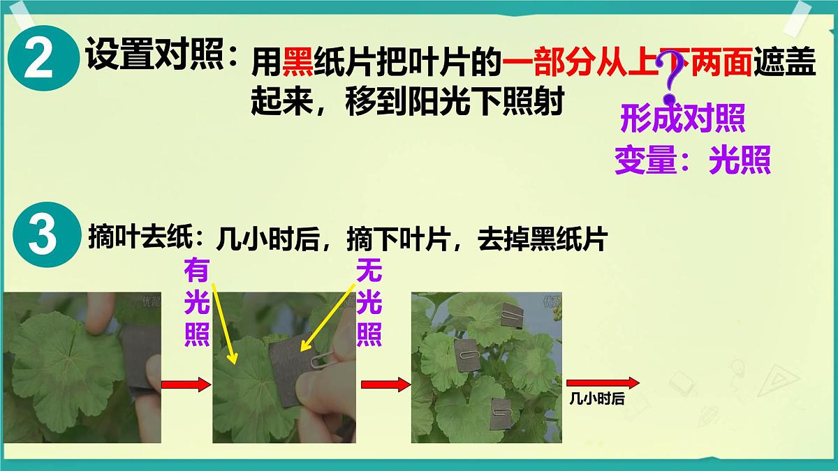初中生物人教版（2024）七年级下册3.2.2 光合作用 课件第7页