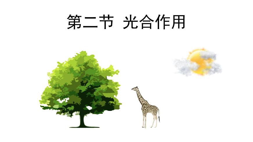 初中生物人教版（2024）七年级下册3.2.2 光合作用 课件第1页