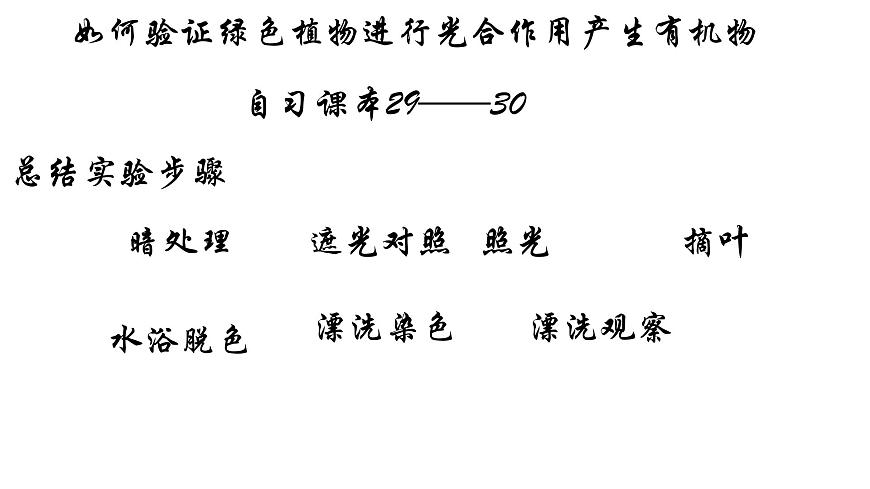 初中生物人教版（2024）七年级下册3.2.2 光合作用 课件第3页