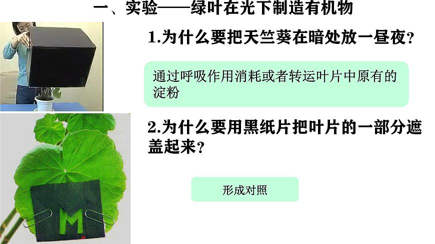 初中生物人教版（2024）七年级下册3.2.2 光合作用 课件第4页