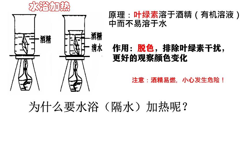初中生物人教版（2024）七年级下册3.2.2 光合作用 课件第5页