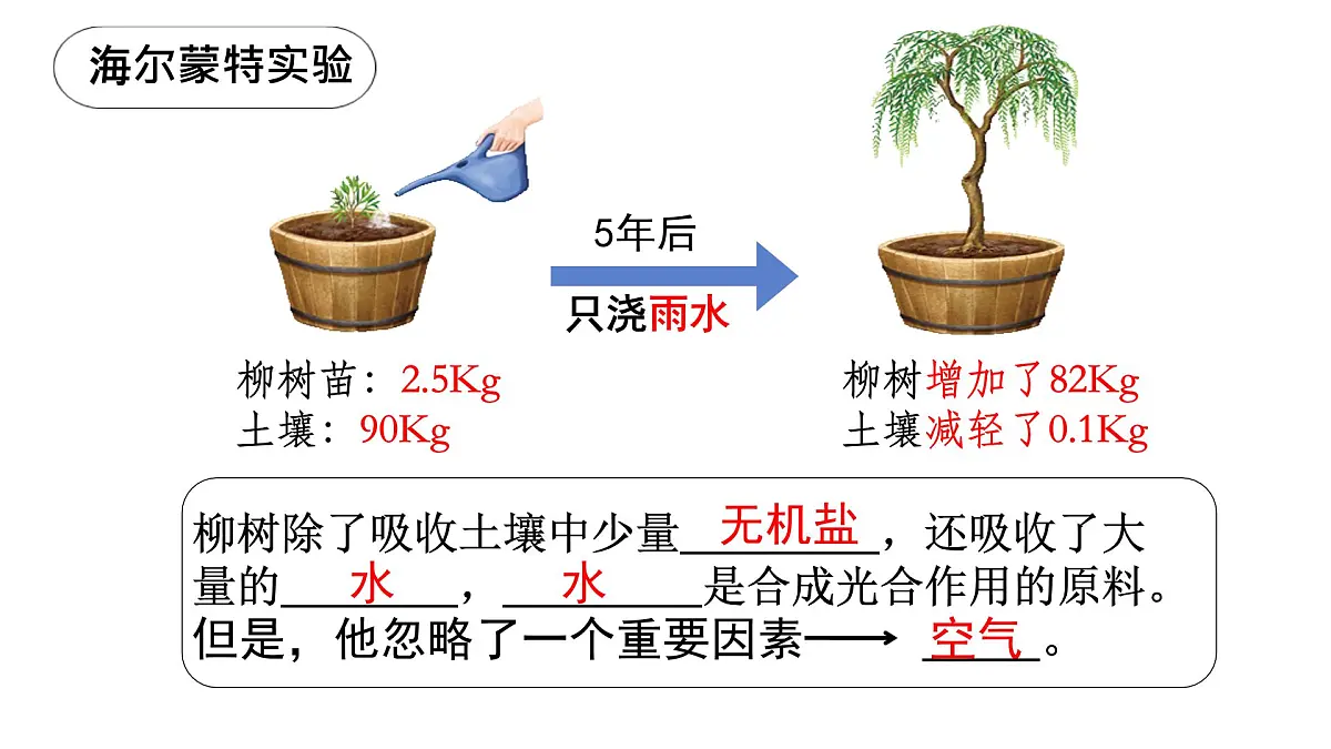 初中生物人教版（2024）七年级下册3.2.2 光合作用 （共3课时）课件第3页