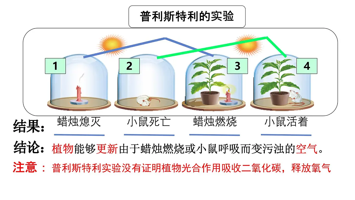 初中生物人教版（2024）七年级下册3.2.2 光合作用 （共3课时）课件第5页