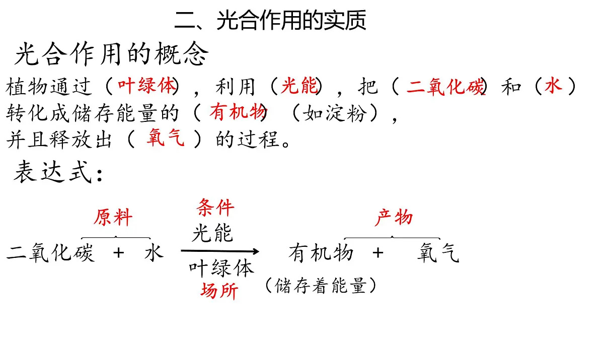 初中生物人教版（2024）七年级下册3.2.2 光合作用 （共3课时）课件第7页