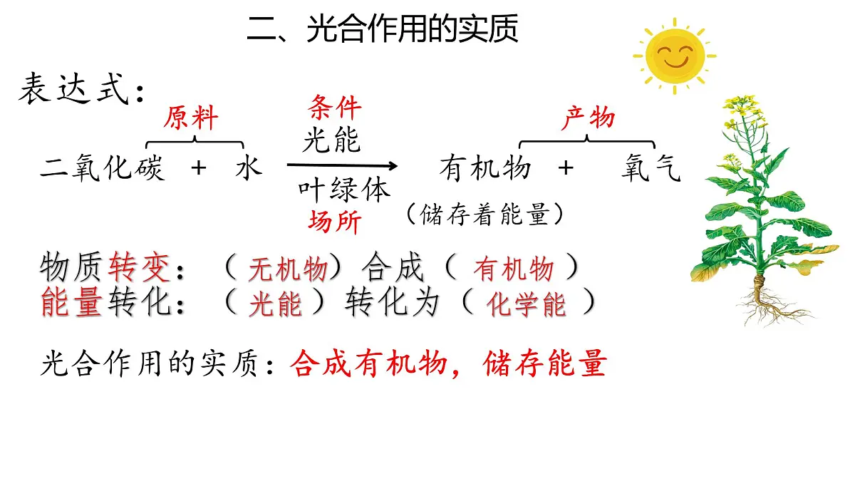 初中生物人教版（2024）七年级下册3.2.2 光合作用 （共3课时）课件第8页