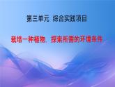 初中生物人教版（2024）七年級下冊（2024）第三單元 植物的生活  第二章綜合實踐項目 栽培一種植物，探究所需的環(huán)境條件 課件