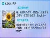 初中生物人教版（2024）七年級下冊（2024）第三單元 植物的生活  第二章綜合實踐項目 栽培一種植物，探究所需的環(huán)境條件 課件
