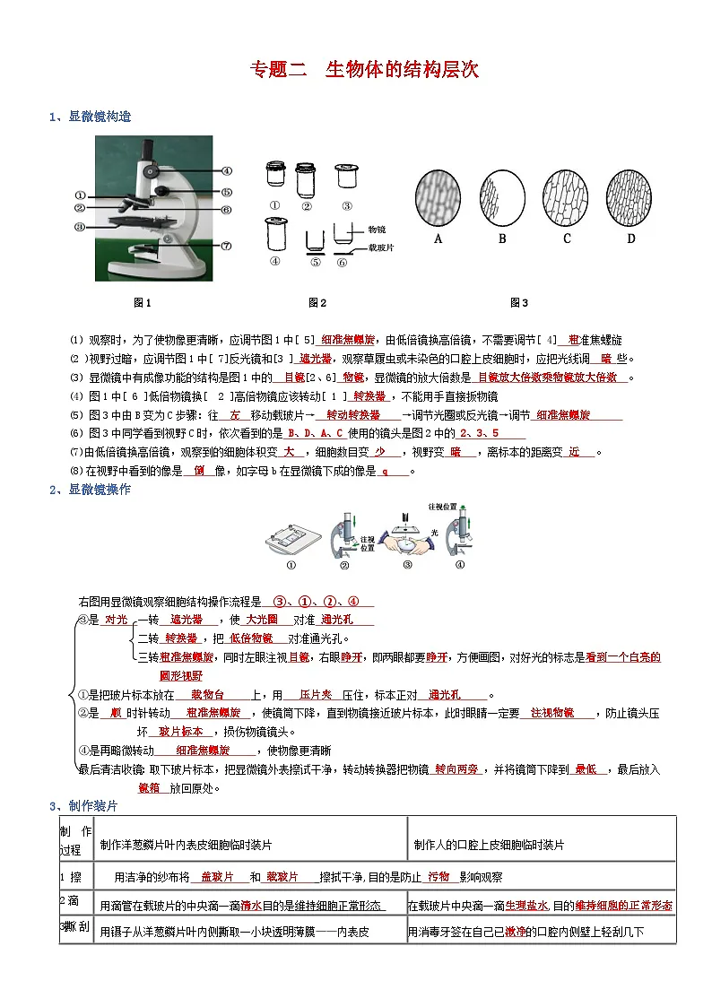 2025年人教版八年级下册会考生物知识梳理知识点讲义专题02 生物体的结构层次（背诵版）第1页