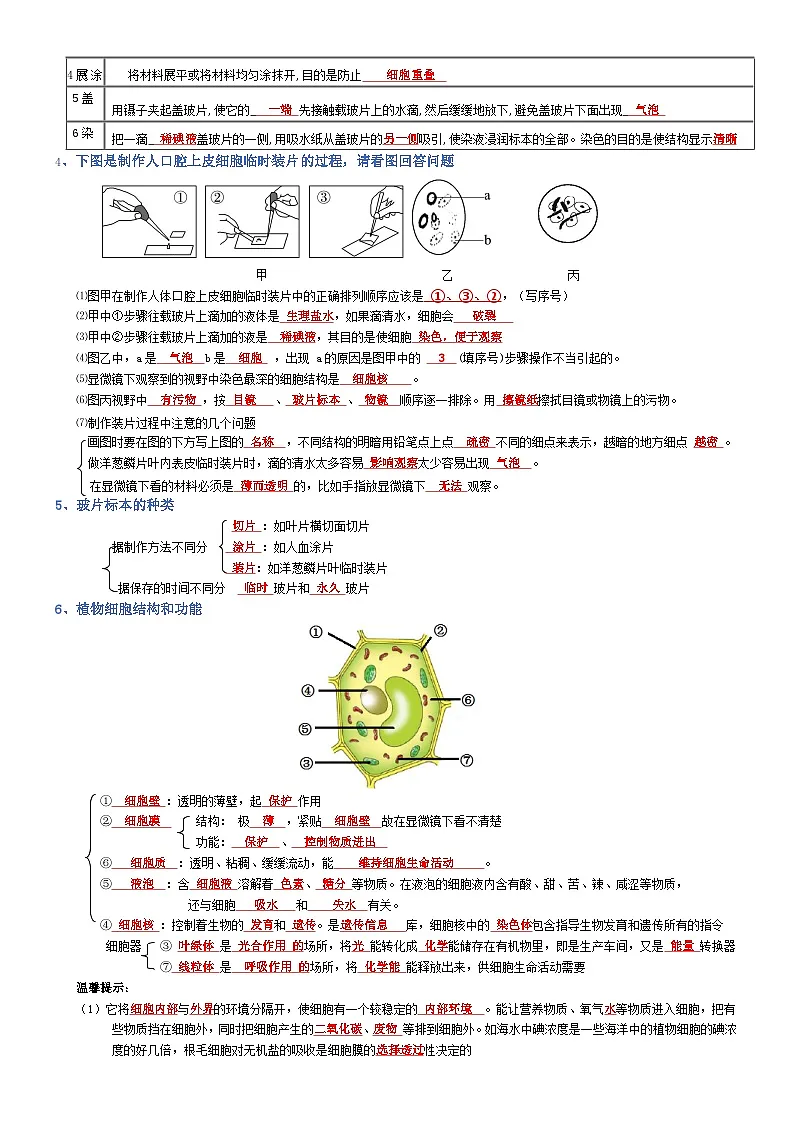 2025年人教版八年级下册会考生物知识梳理知识点讲义专题02 生物体的结构层次（背诵版）第2页