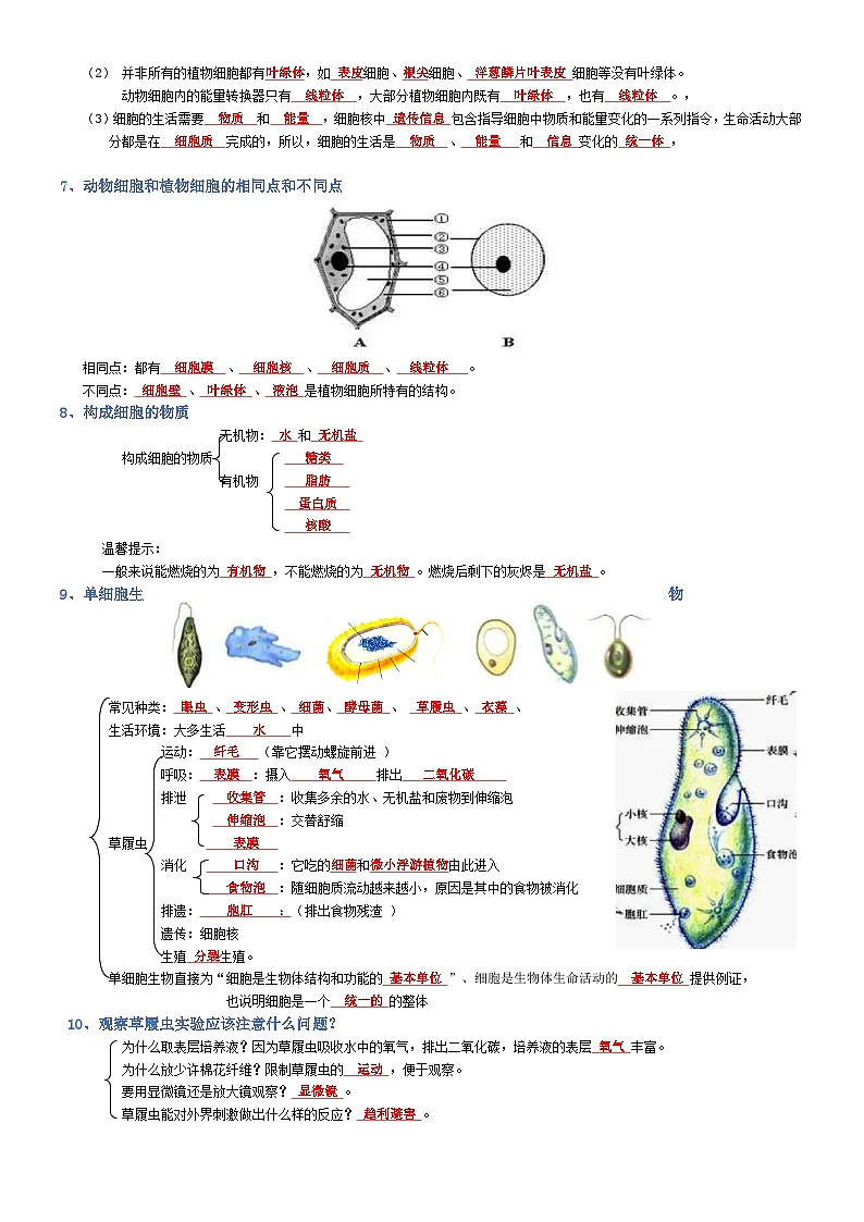 2025年人教版八年级下册会考生物知识梳理知识点讲义专题02 生物体的结构层次（背诵版）第3页