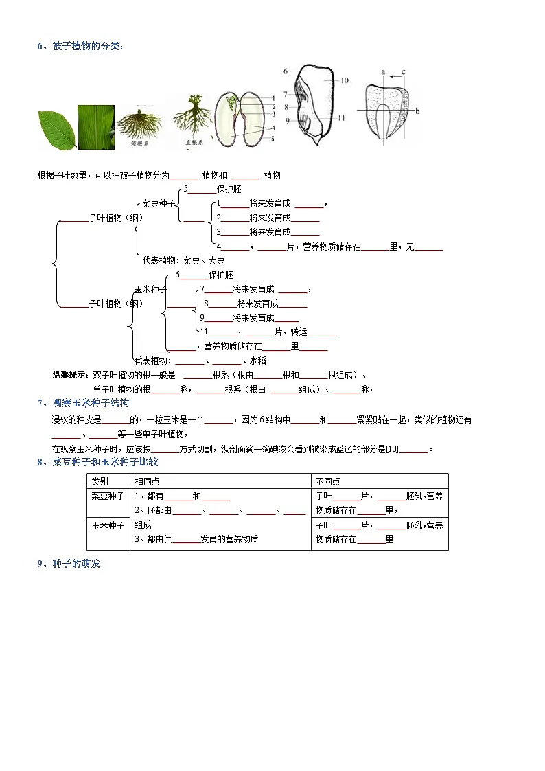 2025年人教版八年级下册会考生物知识梳理知识点讲义专题03 生物圈中的绿色植物(填空版)第2页