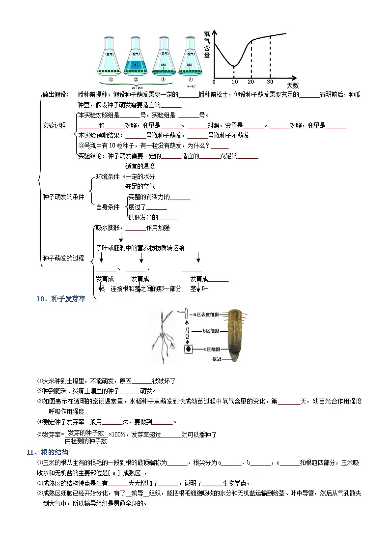 2025年人教版八年级下册会考生物知识梳理知识点讲义专题03 生物圈中的绿色植物(填空版)第3页