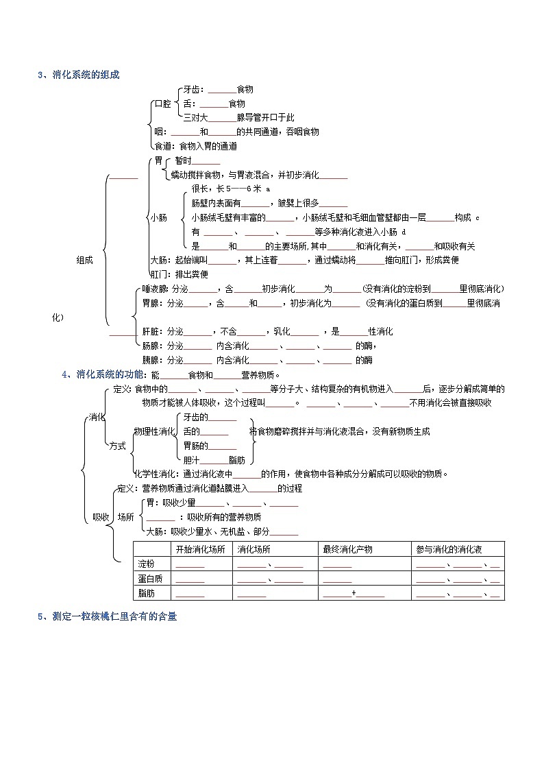 2025年人教版八年级下册会考生物知识梳理知识点讲义专题04 生物圈中的人（填空版）第2页