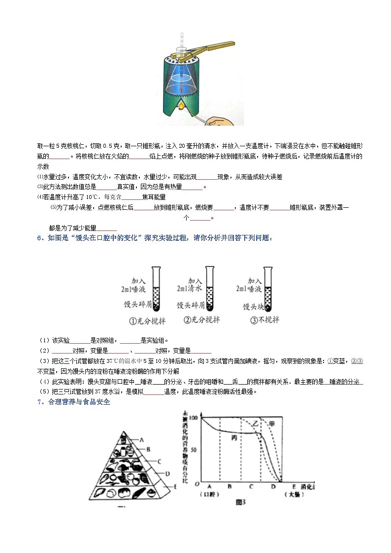 2025年人教版八年级下册会考生物知识梳理知识点讲义专题04 生物圈中的人（填空版）第3页