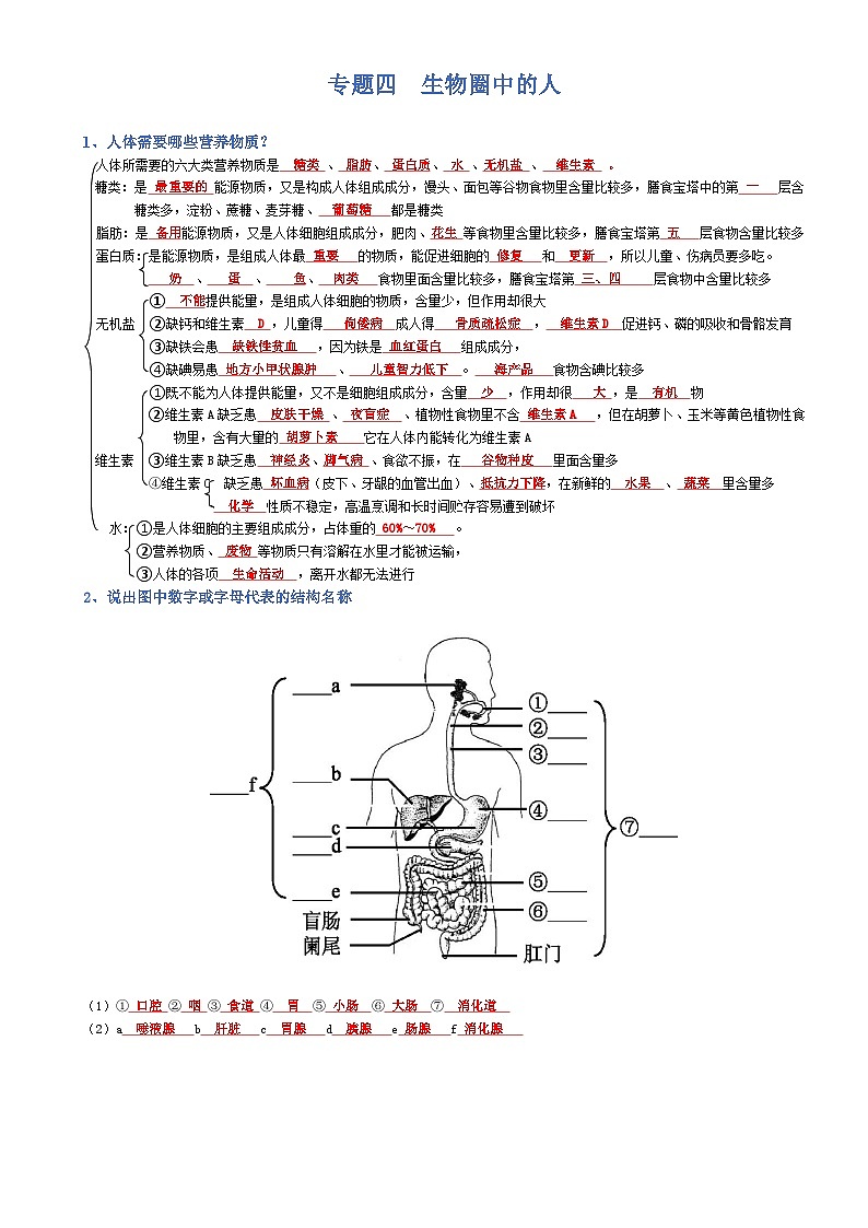 2025年人教版八年级下册会考生物知识梳理知识点讲义专题04 生物圈中的人（背诵版）第1页