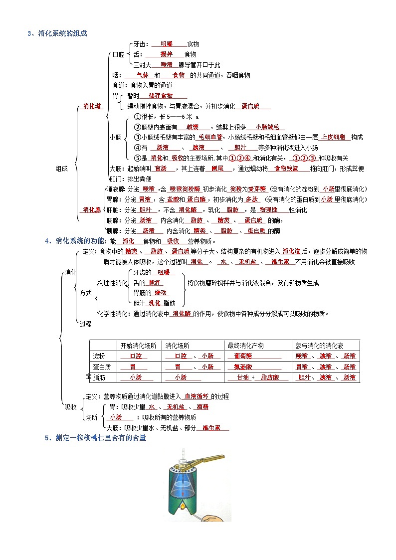 2025年人教版八年级下册会考生物知识梳理知识点讲义专题04 生物圈中的人（背诵版）第2页