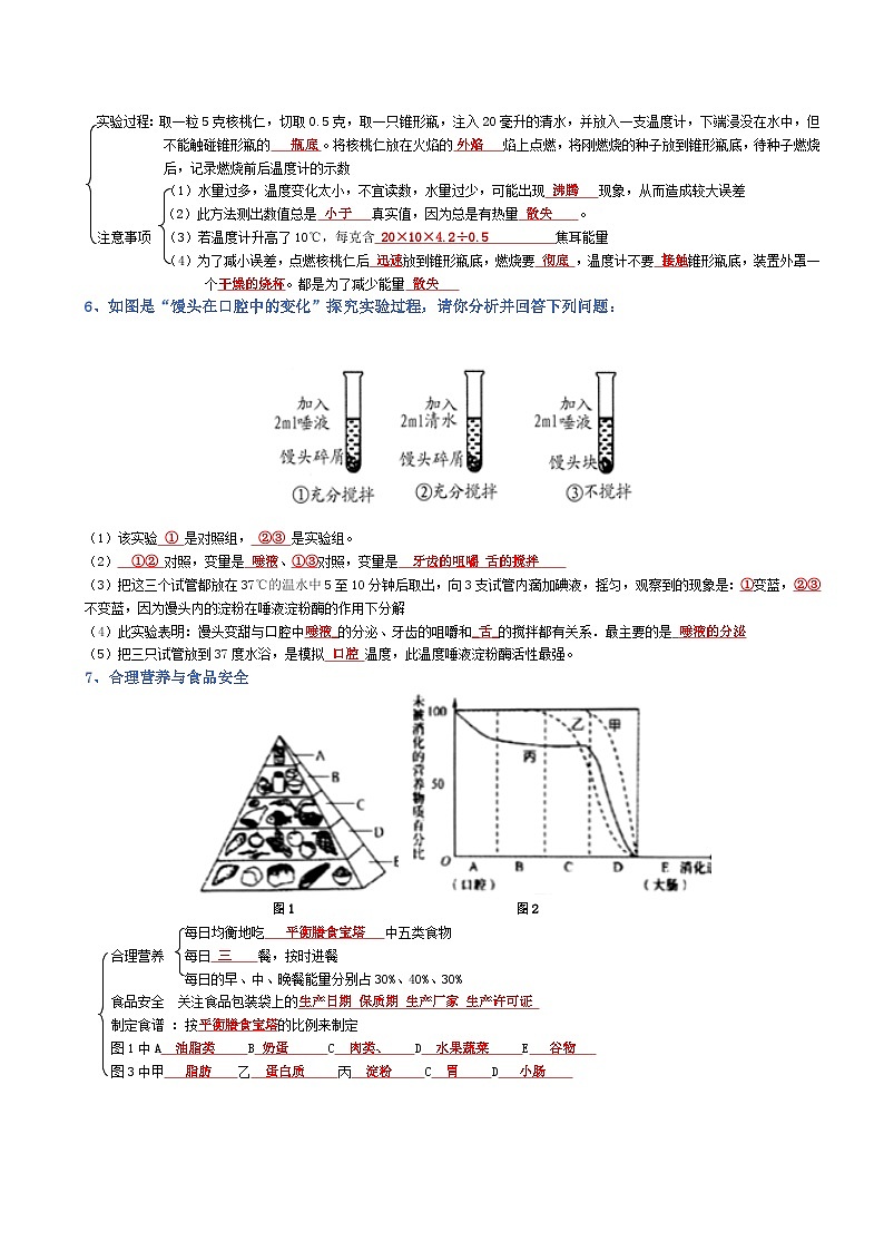 2025年人教版八年级下册会考生物知识梳理知识点讲义专题04 生物圈中的人（背诵版）第3页