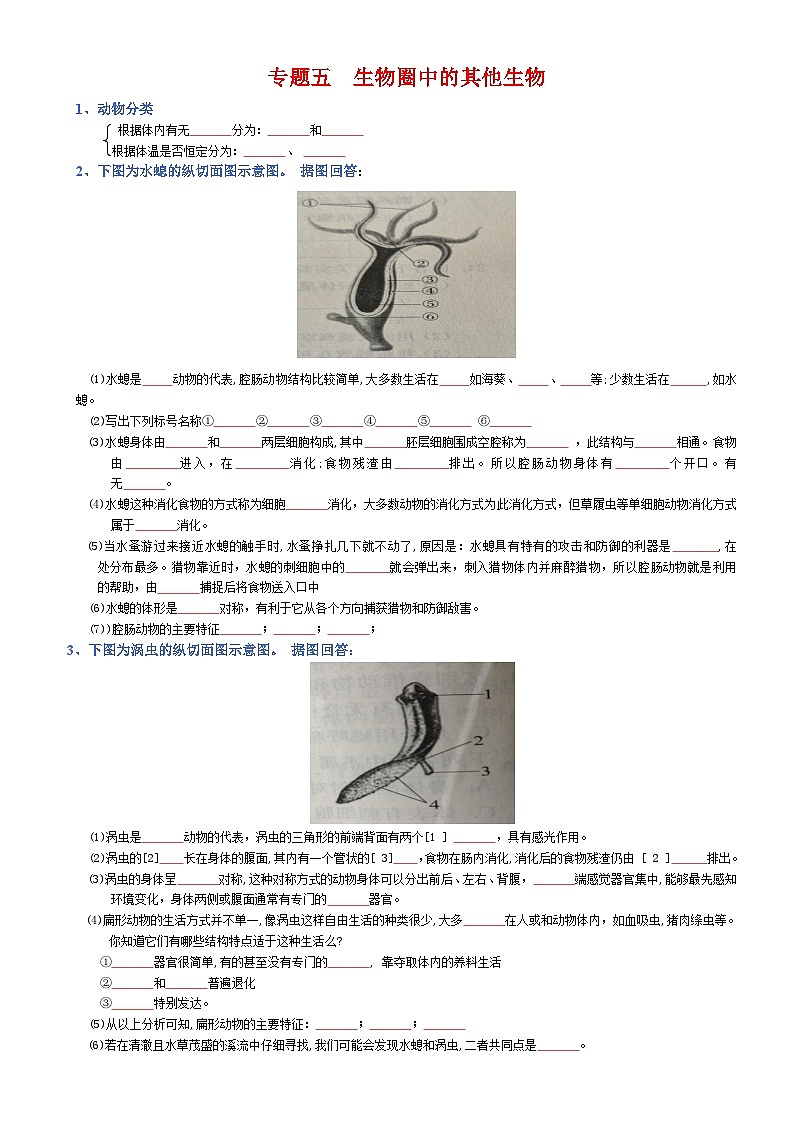 2025年人教版八年级下册会考生物知识梳理知识点讲义专题05 生物圈中的其他生物（填空版）第1页