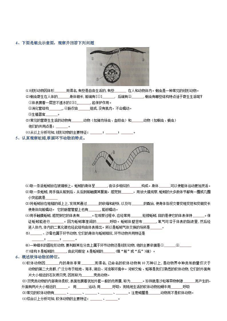 2025年人教版八年级下册会考生物知识梳理知识点讲义专题05 生物圈中的其他生物（填空版）第2页