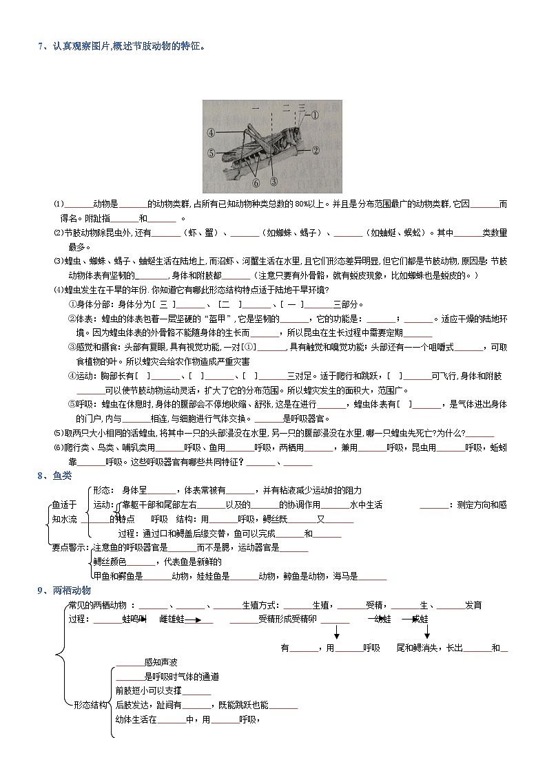 2025年人教版八年级下册会考生物知识梳理知识点讲义专题05 生物圈中的其他生物（填空版）第3页
