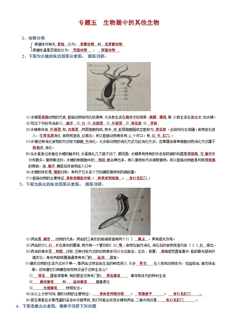 2025年人教版八年级下册会考生物知识梳理知识点讲义专题05 生物圈中的其他生物（背诵版）第1页